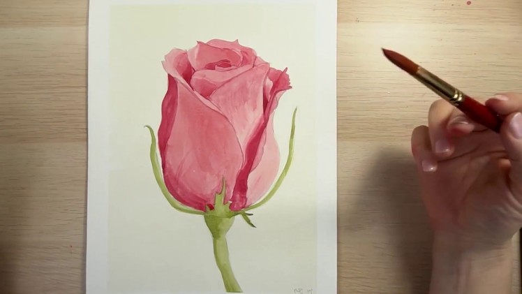 How to Draw and Paint a Red Rose with Watercolors