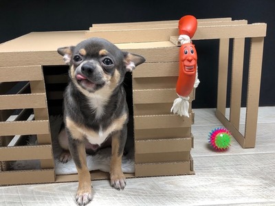 How to Make Amazing Puppy Dog House from Cardboard