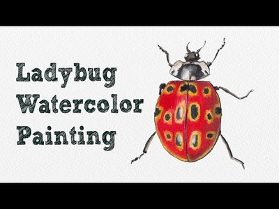 Ladybug Watercolor Painting | Speed Paint