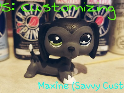 LPS: Customizing Maxine (675 Savvy Custom)