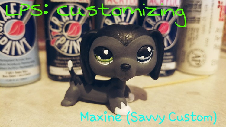 LPS: Customizing Maxine (675 Savvy Custom)