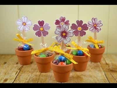 Super Cute Flower Pot Favors for Birthdays, Weddings, Showers, and More!