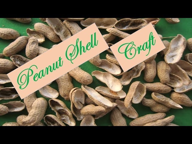 HM Peanut (Groundnut) craft perception || How to make groundnut toran
