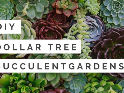 ST PATRICKS DAY HOME DECOR || DOLLAR TREE DIY SUCCULENT PLANTERS | 2018