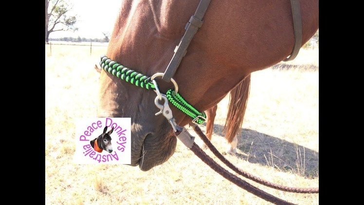 How to convert a leather bridle to a bitless side-pull bridle