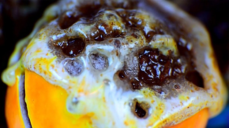 How To Melt, Sweets Satisfying