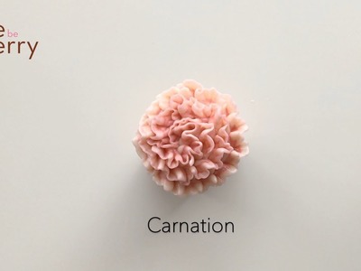How to Pipe a Buttercream Flower: Carnation