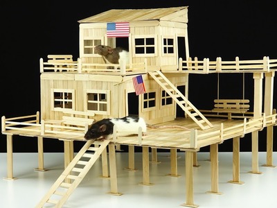DIY Amazing American House for 2 Pet Rats