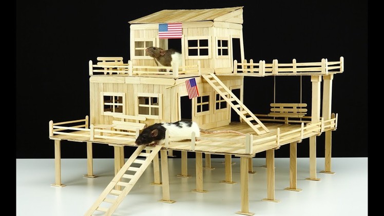 DIY Amazing American House for 2 Pet Rats