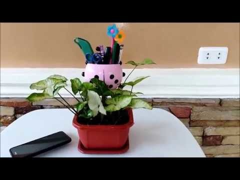 DIY Plant Pot Cell Phone, Toothbrush and Pen Holder