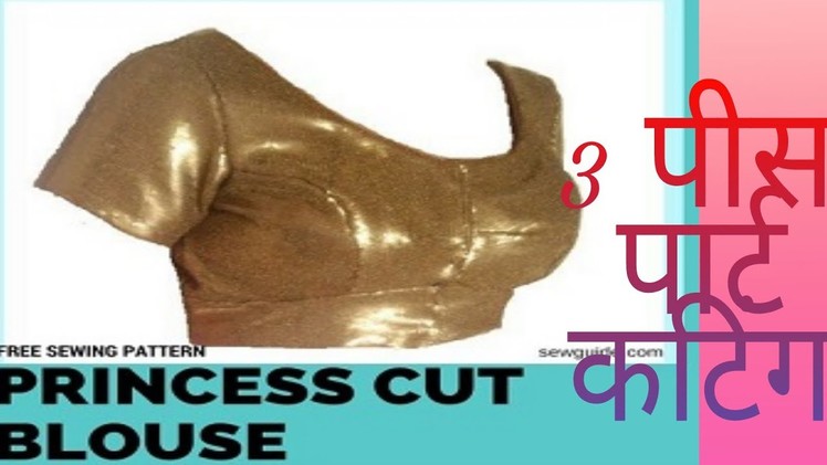 Make a simple(saree blouse) Princess cut 
DIY pattern -cut, sew guidee