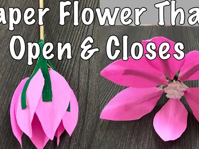 Origami Flower that Open and Closes : Paper Flower