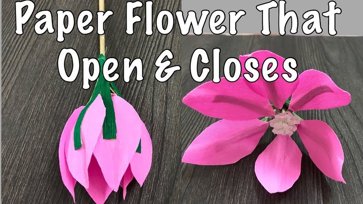 Origami Flower that Open and Closes : Paper Flower