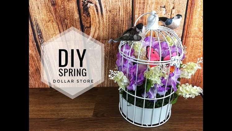 Spring DIY | Dollar Store | Bird Cage Decor