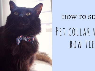 DIY: Pet Collar with Bow Tie (Easy)