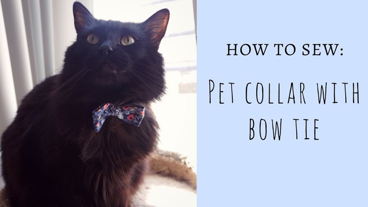 DIY: Pet Collar with Bow Tie (Easy)