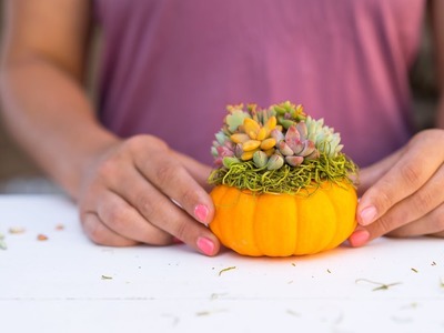 How to Make a Succulent Topped Pumpkin - DIY Tutorial