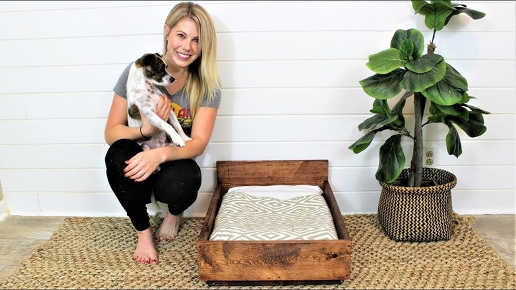 The $15 Pet Bed - DIY Project