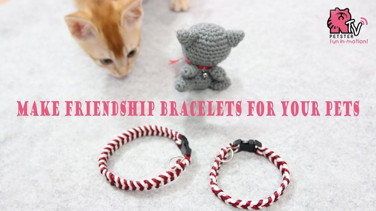 Turn your friendship bracelet into a pet collar (DIY tutorial)