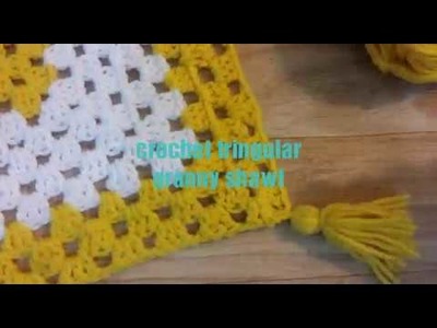 Easy crochet beginner's shawl