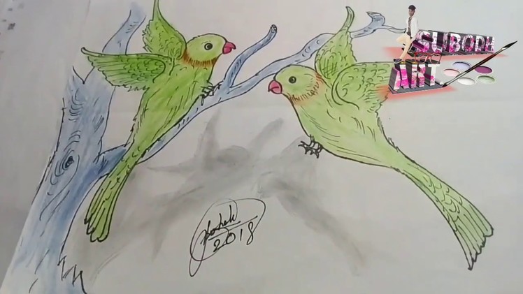 How to draw a two 3d parrot step-step very easy (Subodh art-mahalidih)