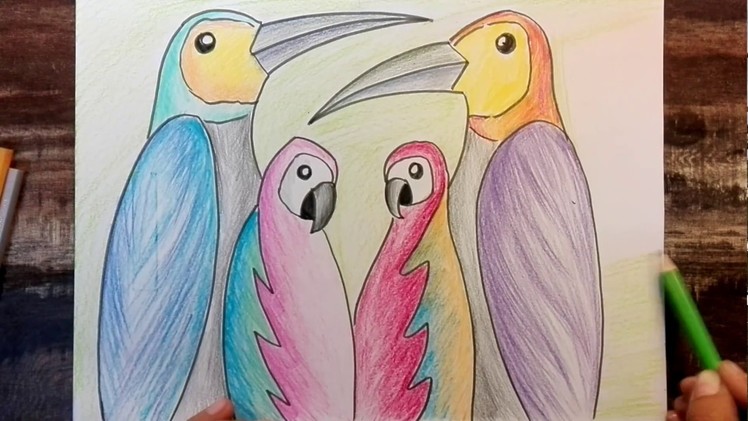 How to draw parrots scenery easy using pencil colours