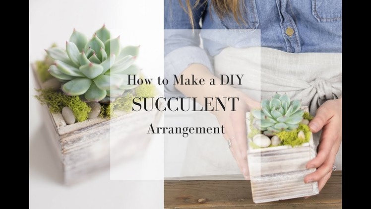 How to Make a Succulent Arrangement | DIY SPRING DECOR