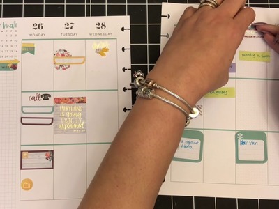Plan with Me Happy Planner 2.26-3.4- Using *NEW*. Agenda 52 Stickers