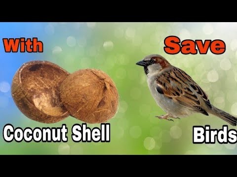 Best Out Of Waste | Bird Feeder from Coconut shell | Coconut Shell Craft Idea | Art n Creations