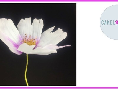 Cosmos Flower in Cold Porcelain or Gumpaste