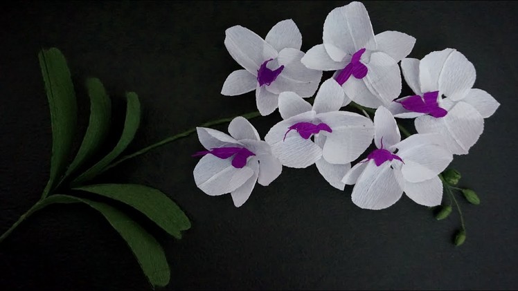 How To Make Paper Flower Crepe - Phalaenopsis Orchids Indoor Flowers Plant | DIY Paper Craft