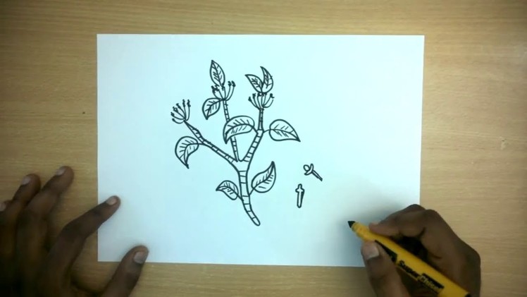 How to Draw a Cloves | Easy Step by step drawing for kids