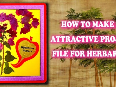How to make a Herbarium project file || Attractive Project File for Herbarium