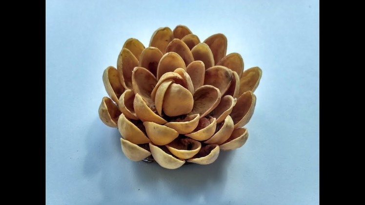 How to Make Flower Pistachio Shells (Pista Shells)