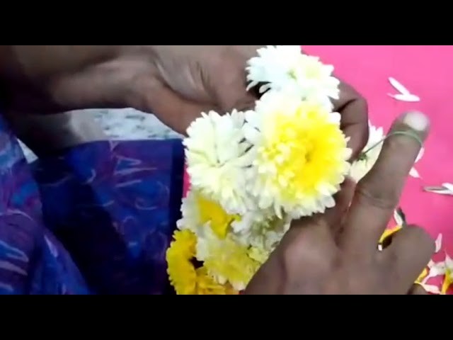 How to tie samanthi  flowers for puja using Traditional method  for the beginners