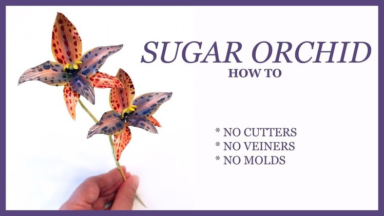 SUGAR ORCHID How To: NO CUTTERS, NO VEINERS, NO MOLDS - Queen of Sheba Sugar Flower Tutorial
