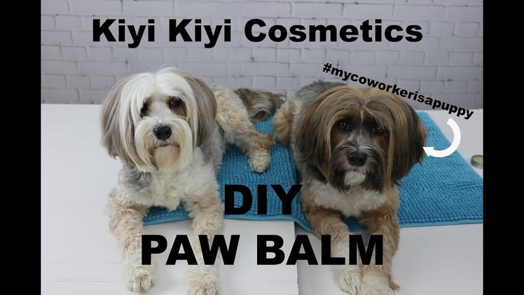 DIY Dog Paw Balm or Wax - Make Your Own!