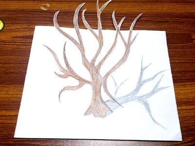 How To Draw 3D Tree On Paper For Kids Step By Step