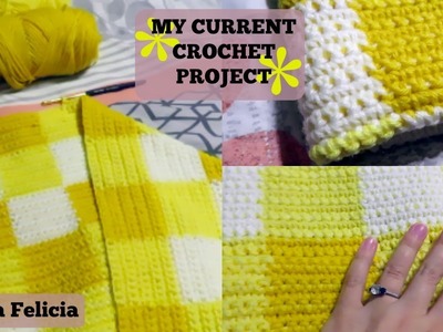 MY CURRENT CROCHET PROJECT: Crochet Gingham Blanket | Laura Felicia