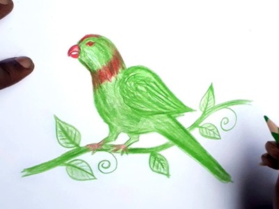 Wood pencil art,,Drawing a 3D Bird How to Draw Parrot   Trick Art on Paper step by step Draw a Reali