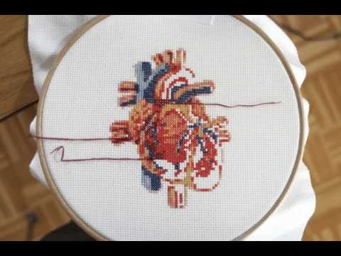 Cross stitch heart time lapse ° stitching of an anatomic embroidery design