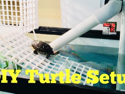 DIY Turtle Topper & Canister Filter Under $20