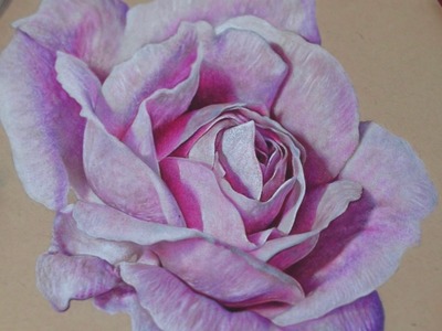 Drawing a Realistic Rose | Colored Pencils