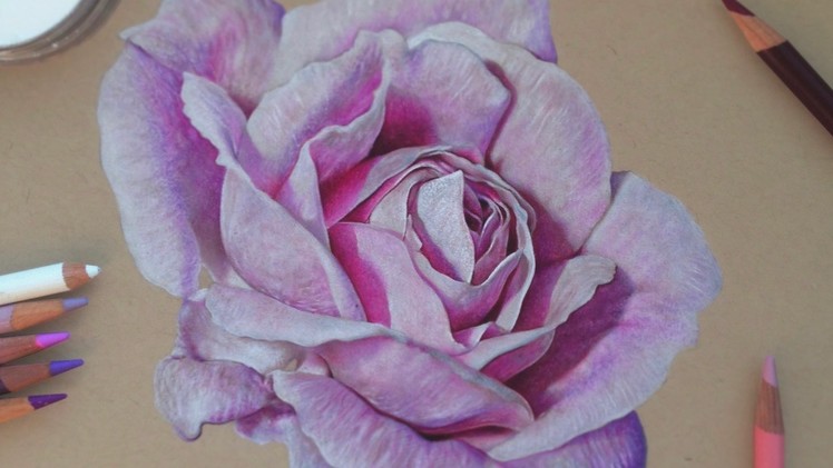 Drawing a Realistic Rose | Colored Pencils