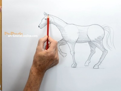 How to Draw a Horse simply