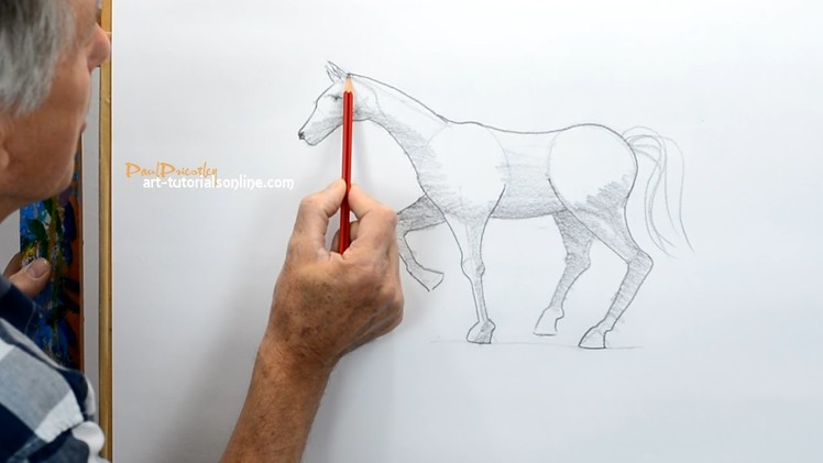 How to Draw a Horse simply