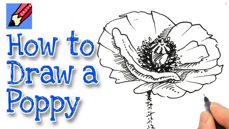 How to draw a Poppy Real Easy