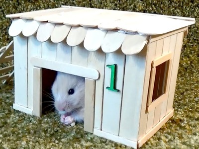 How to Make Little Hamster House – Very Easy & Quick DIY
