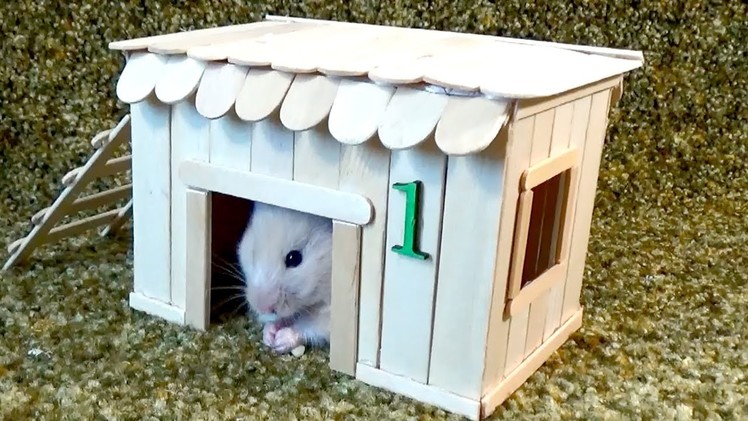 How to Make Little Hamster House – Very Easy & Quick DIY