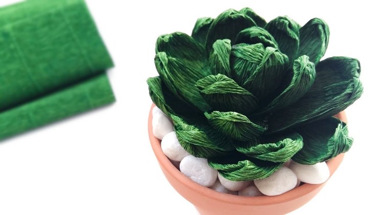 DIY Paper Succulent. Succulent from Crepe Paper
